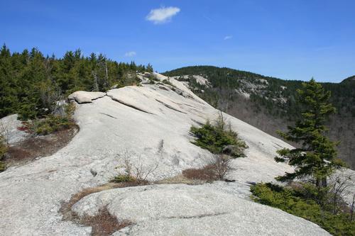 Spring Hike on Welch-Dickey Trail