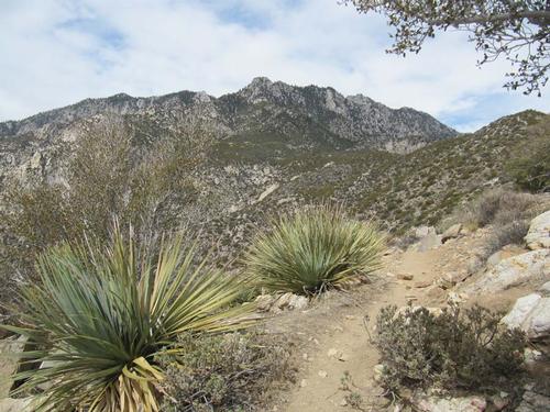 Skyline Trail Hike