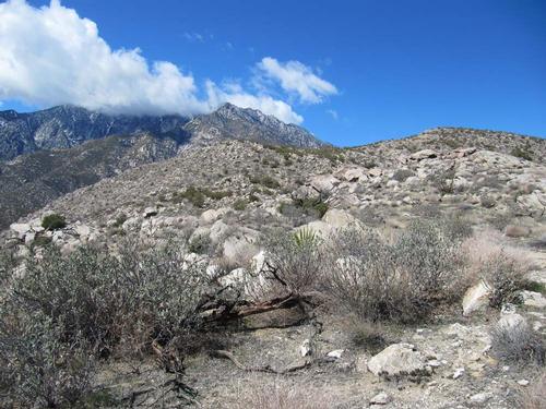 Palm Springs - Skyline Trail Day Hike