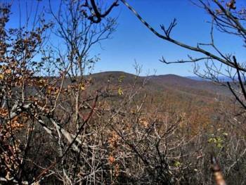 Vly and Bearpen Mountain Hike