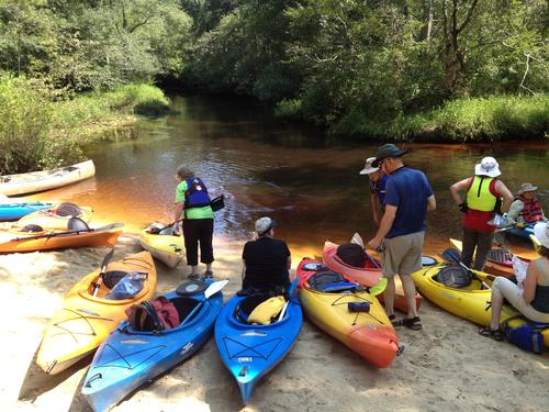 Kayaking the Batsto River Pine Barrens