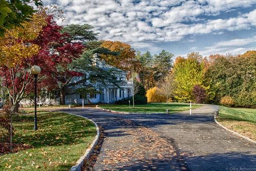 Frelinghuysen Arboretum 