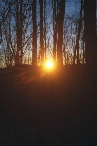 Solstice Gathering Holiday Party & Hike