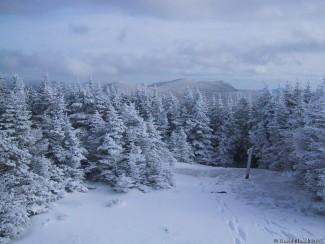 Mt Hale-East Hale Hike