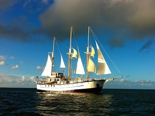 All Gay Caribbean Windjammer