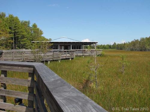 Hike WPB's Grassy Waters Preserve