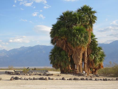 Saline Valley Hot Springs Campout