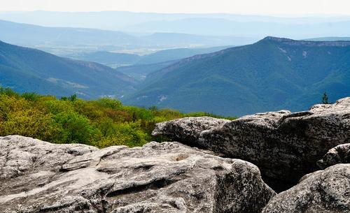 Dolly Sods Backpack - Spots Available!