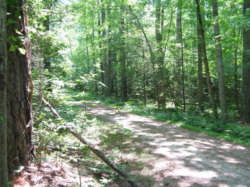 Mountain Biking, Pocahontas State Park