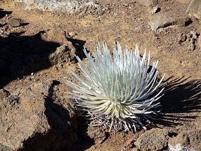 The Sliding Sands of Haleakala