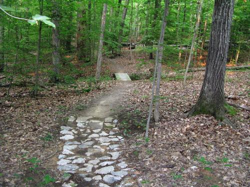 Mountain Biking Pocahontas State Park