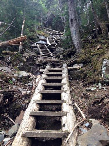 Mt. Willey Hike