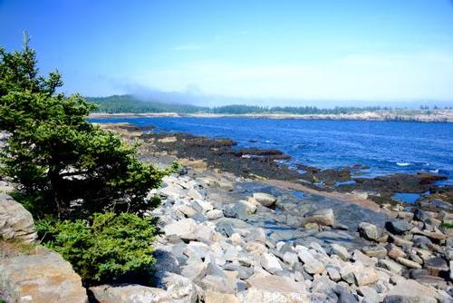 Downeast Maine Coast Adventure