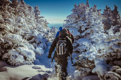 Mt. Moosilauke HIke
