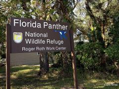 Florida Panther Refuge Hike