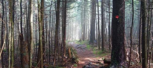 Devil's Path