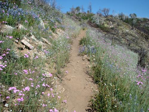 The Black Cone Grand Loop
