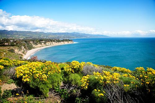 Temescal Canyon to Skull Rock Hike