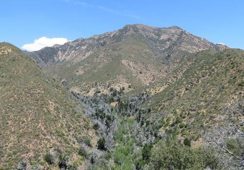 The Treasure of the Sierra Madre: Part 3