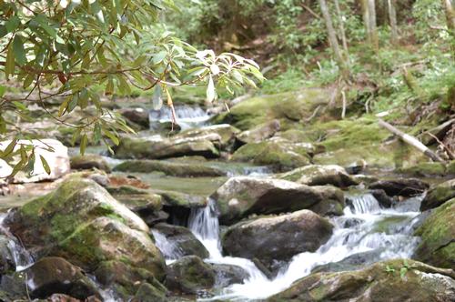 NC Mountain Hike near Asheville