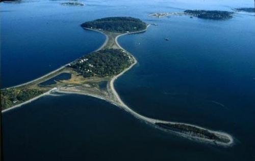 Peddocks Island in Boston Harbor Hike
