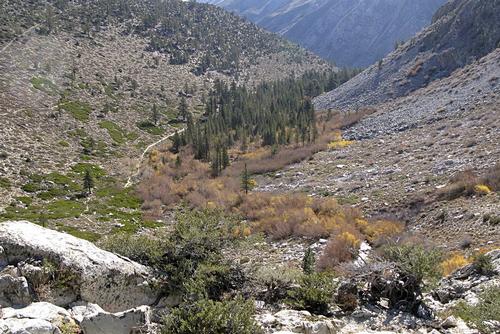 The Palisade Glacier