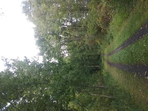 Road cycling Wallkill Valley Rail Trail