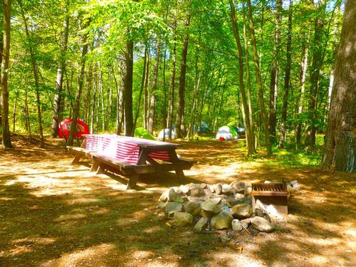 Gay Men Camping: Shawme State Forest