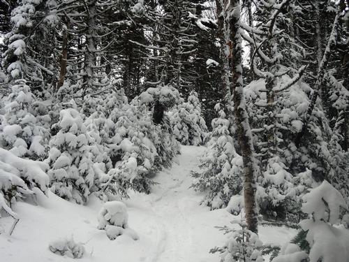 Mt. Garfield Hike