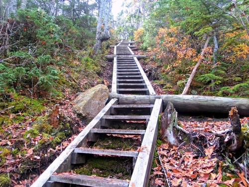 Mt. Flume Hike via Osseo Trail