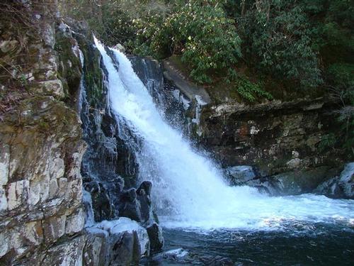 Abrams Falls Hike