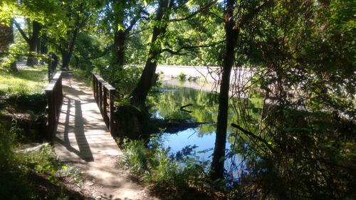 Hiking Richmond James River Trails