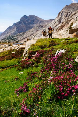High Sierra Backpacking Trip