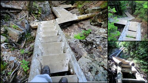 Mt. Willey Hike and Cookout