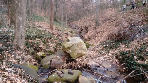 First Sunday Hike