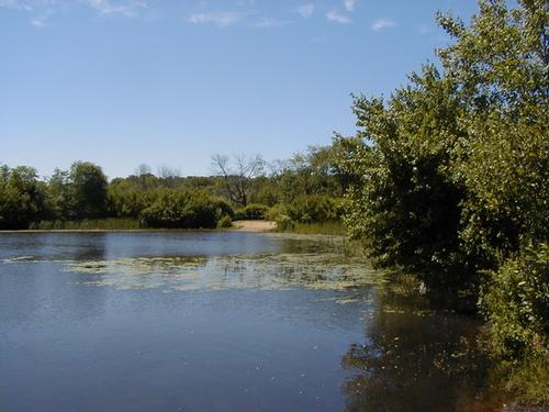 Easy Walk/Hike at Creaser Park and Pond