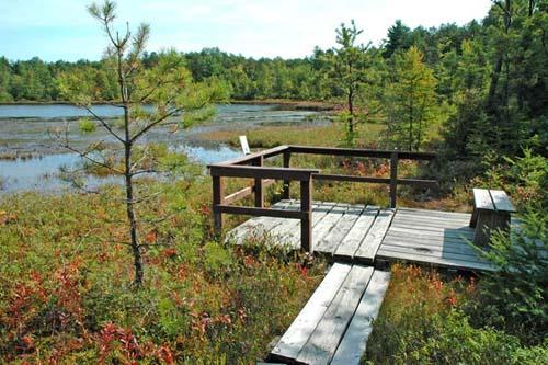 Ponemah Bog Walk
