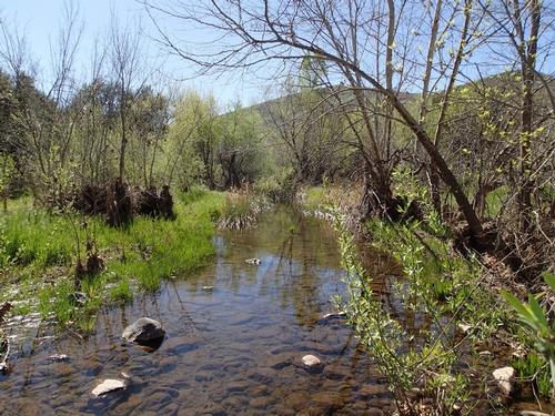 The Cave Creek Loop