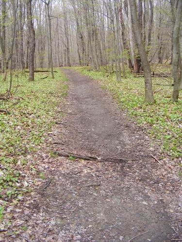 Taconic Crest Trail Traverse