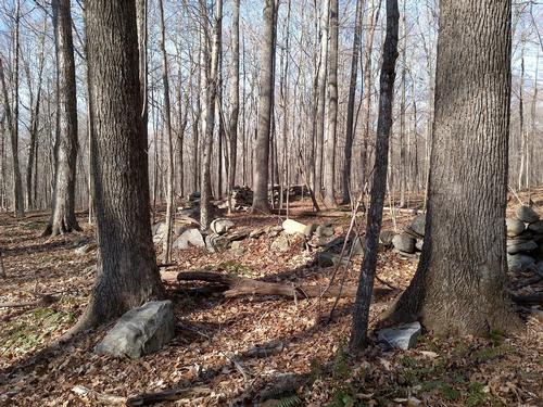 Nathan Hale Homestead Hike