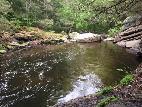 Hike & Swim @ Cotton Hollow