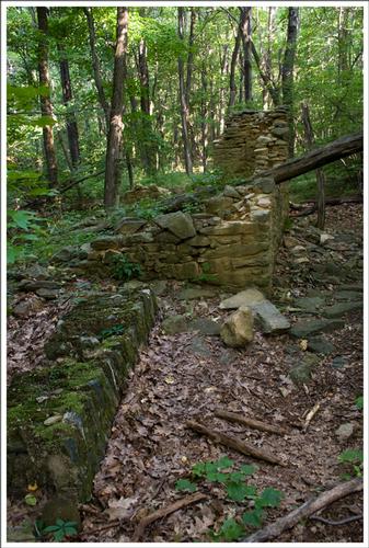 Pocosin Trail