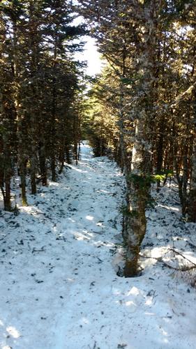 Mt. Moosilauke