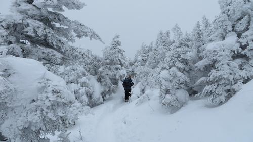 Mt. Pierce & Mizpah Hut Loop via Crawford Path
