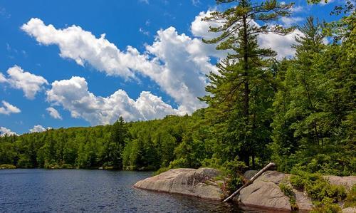 SUSTAINING MEMBERS ONLY: KILBURN POND HIKE/SWIM/SUNBATHE