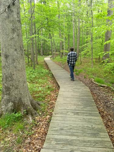Bull Run Occoquan Trail