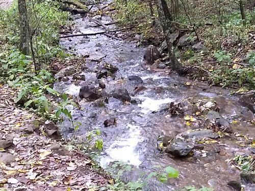 Presidential Rapidan Camp Trail, Shenandoah NP