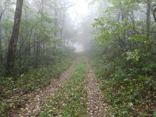 Sunday Hike on Laurel Prong and Cat Knob Trail