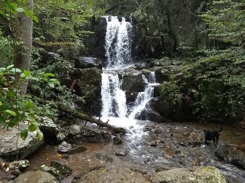 June 29th, Sat. Hike, Big Branch Falls Shenandoah NP