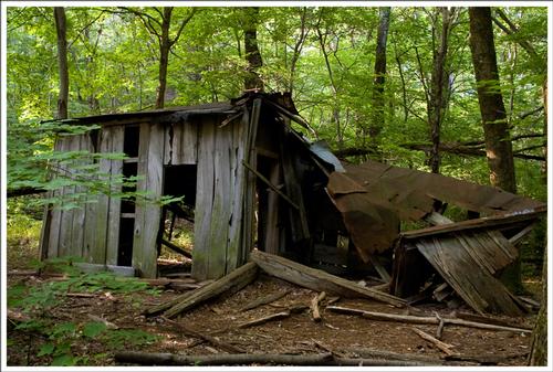 June 30th, Sunday Hike, Loft Mountain Loop Shenandoah NP